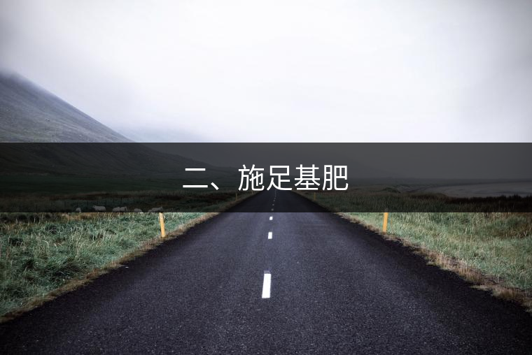 二、施足基肥