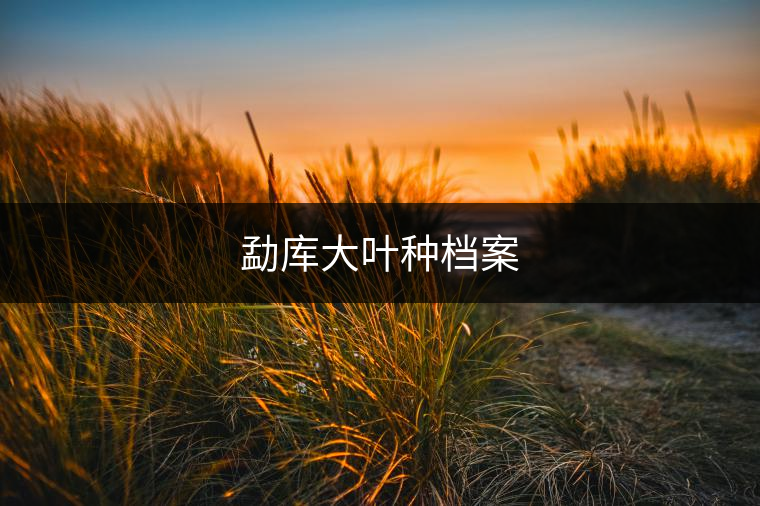 勐庫(kù)大葉種檔案 勐庫(kù)大葉種檔案