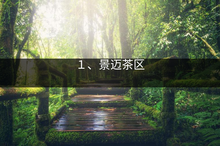 １、景邁茶區(qū)
?
