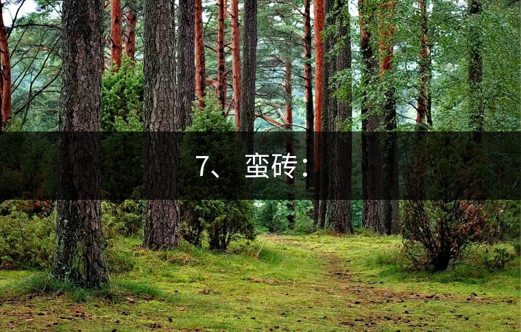 7、 蠻磚：?