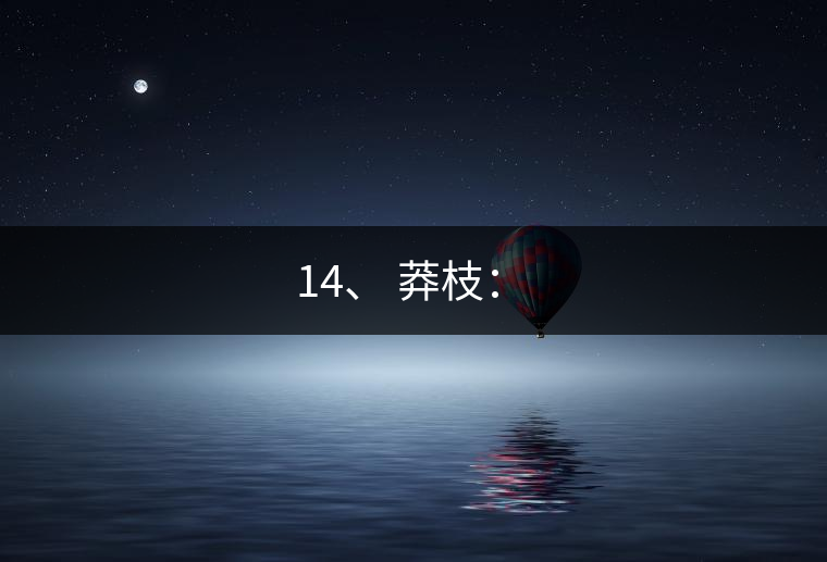 14、 莽枝：?