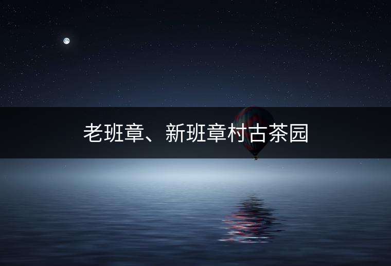 老班章、新班章村古茶園