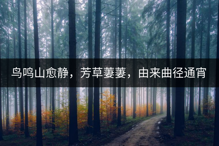 鳥鳴山愈靜，芳草萋萋，由來曲徑通宵漢。
