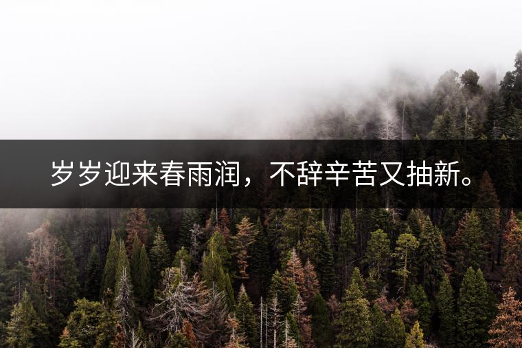 歲歲迎來春雨潤，不辭辛苦又抽新。