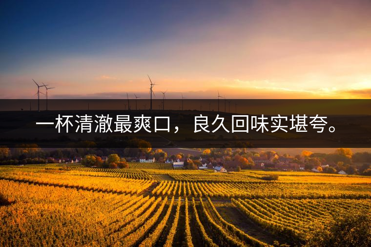 若能一日車船至，從此美名滿天涯。