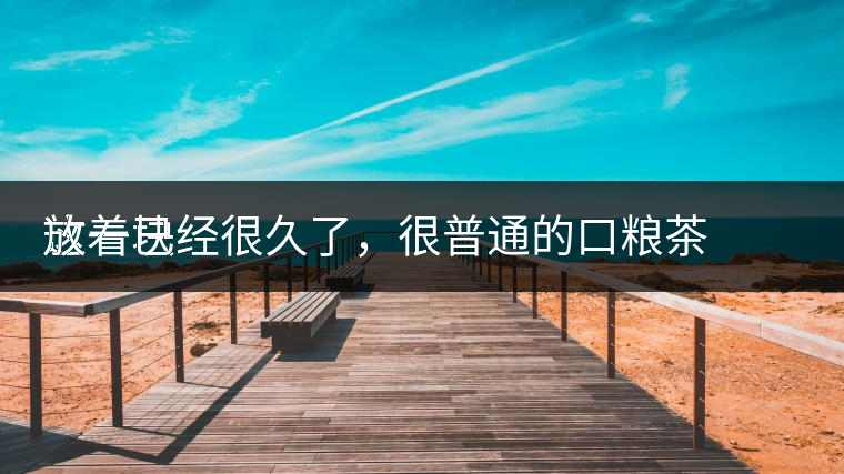 這一塊
放著已經(jīng)很久了，很普通的口糧茶，煙味很重，但回甘也可以，隨意喝喝吧。