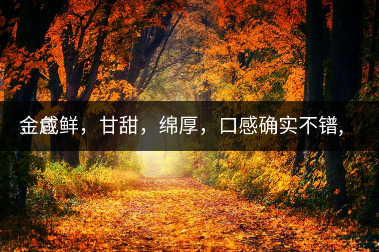 金色
，咸鮮，甘甜，綿厚，口感確實不鐠,還有上升空間。