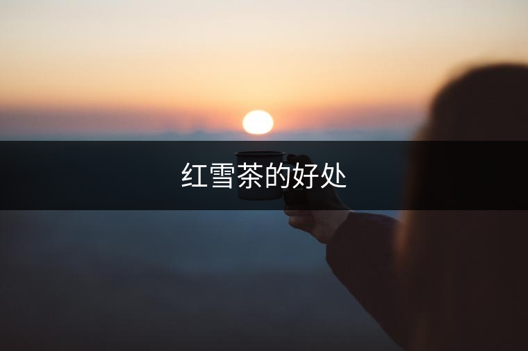 紅雪茶的好處