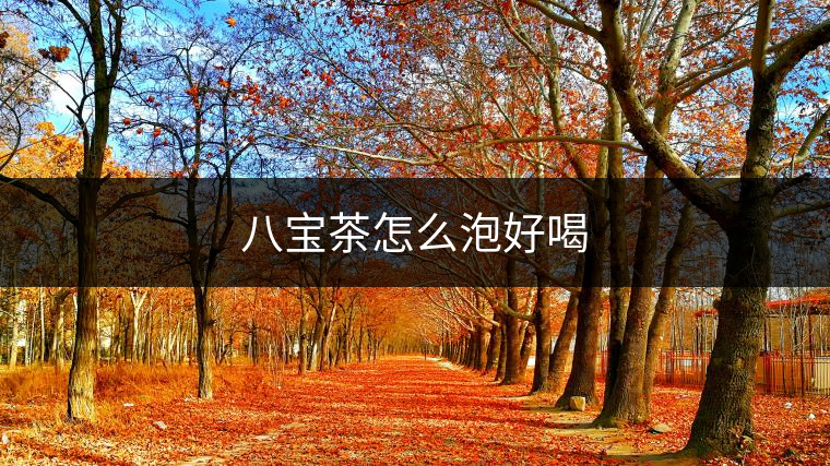 八寶茶怎么泡好喝 八寶茶怎么泡好喝