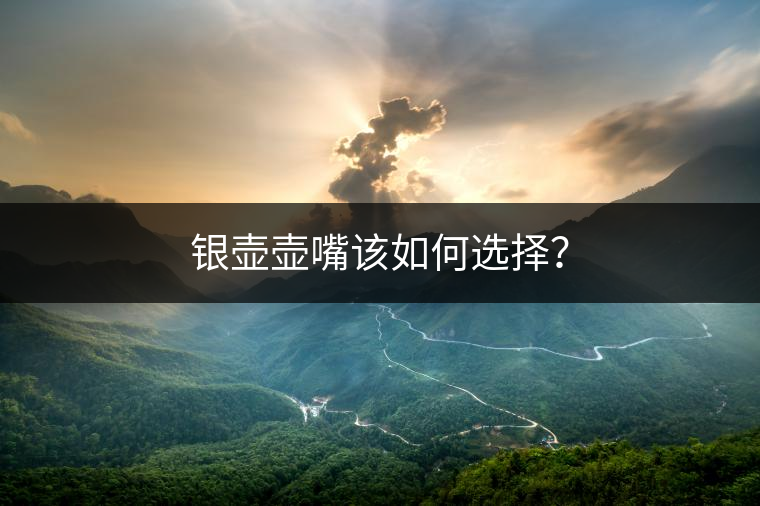 銀壺壺嘴該如何選擇？