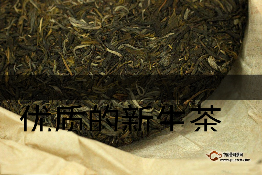 優(yōu)質(zhì)的新生茶是什么樣的？
