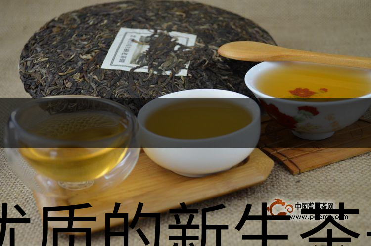 優(yōu)質(zhì)的新生茶是什么樣的？-1