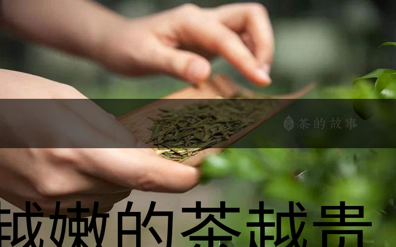 越嫩的茶越貴，但越貴的茶就越好嗎？