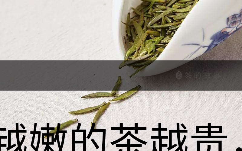 越嫩的茶越貴，但越貴的茶就越好嗎？-1