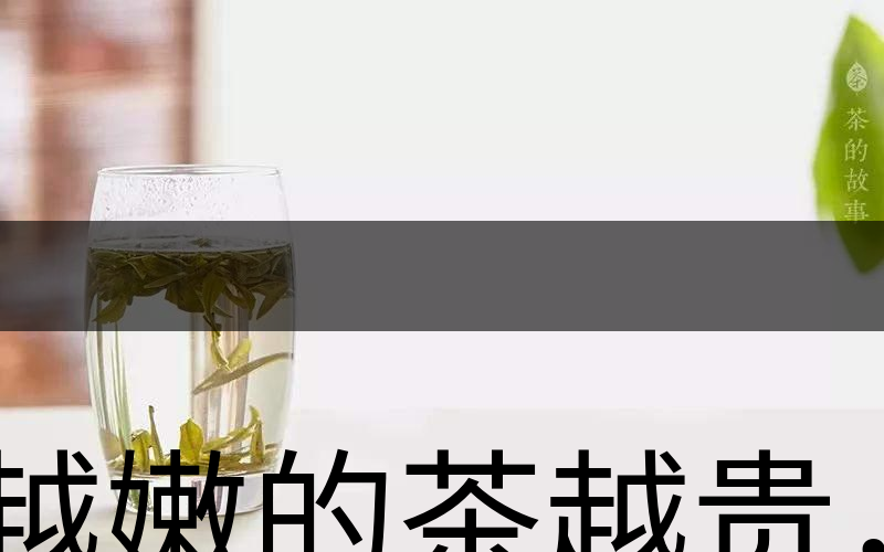 越嫩的茶越貴，但越貴的茶就越好嗎？-2