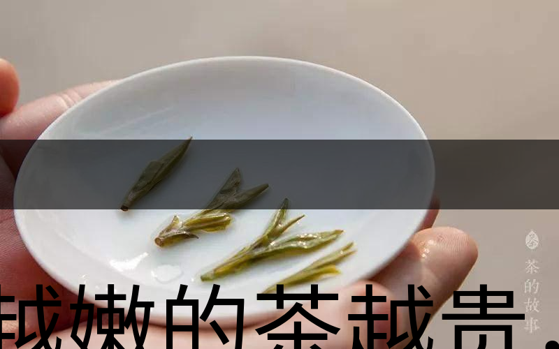 越嫩的茶越貴，但越貴的茶就越好嗎？-3