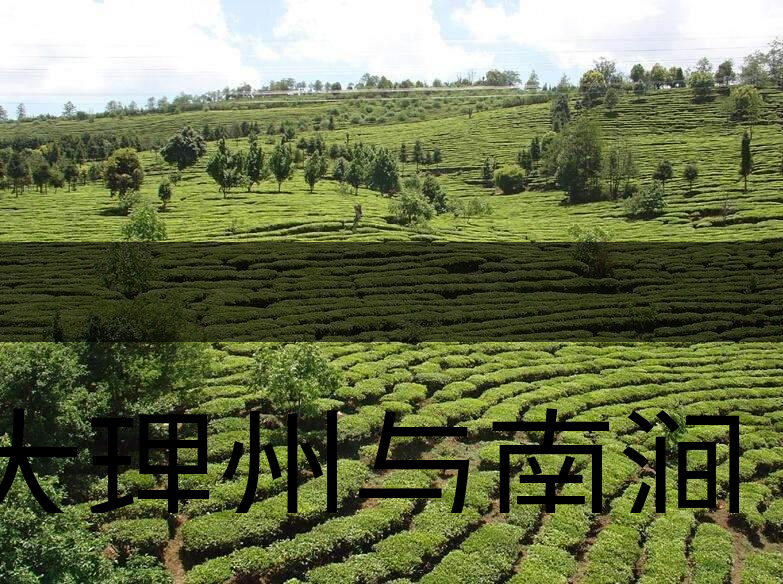 大理州與南澗縣茶業(yè)概況簡(jiǎn)述 大理州與南澗縣茶業(yè)概況簡(jiǎn)述