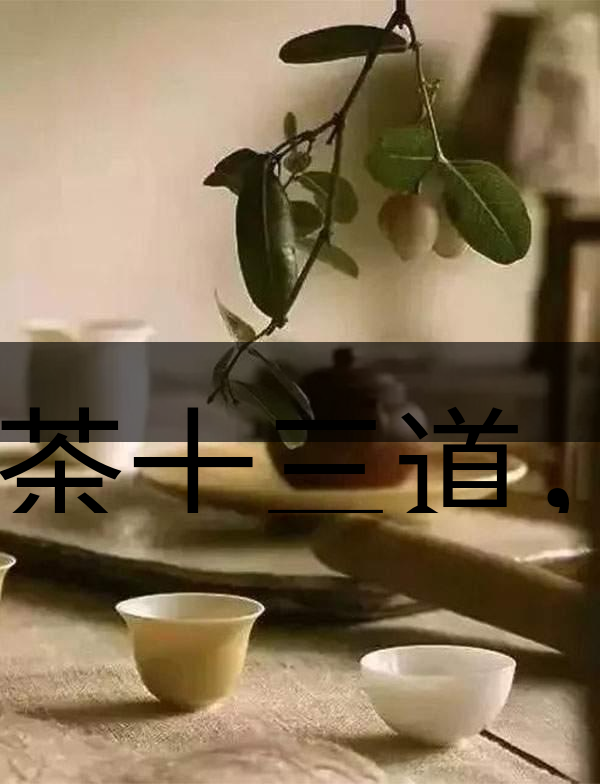 喝茶十三道，道道皆精華！-2