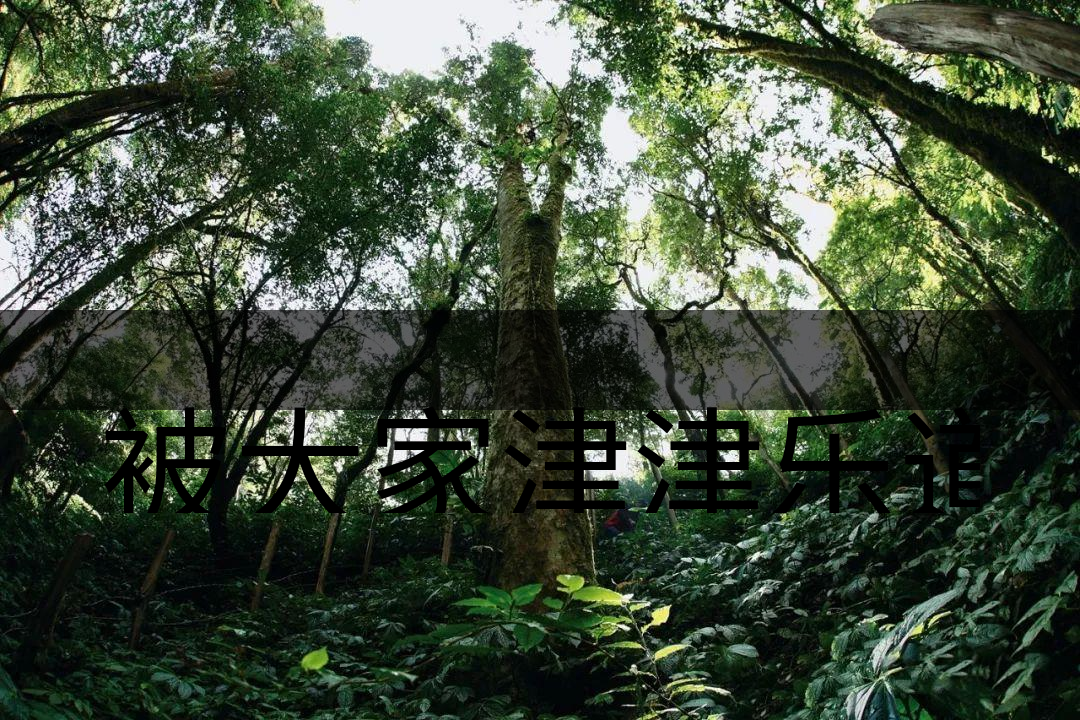 被大家津津樂(lè)道的森林茶，你知道是什么？-6-1