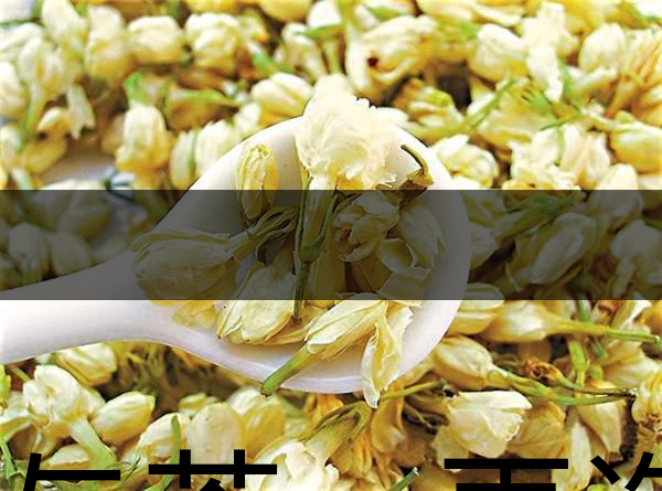 花與茶，再造茉莉之都——福州-1