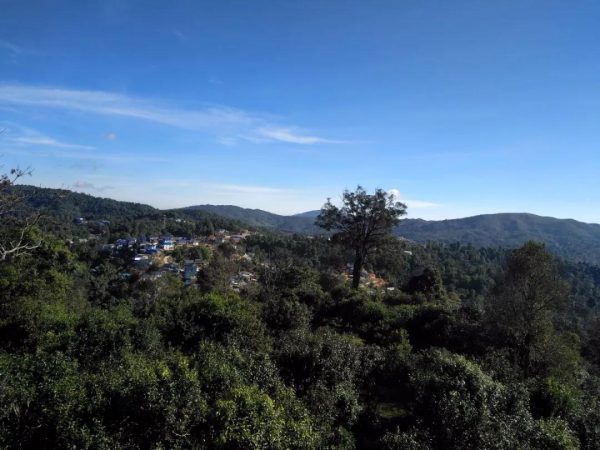 蘭香賀開，甘甜賀開