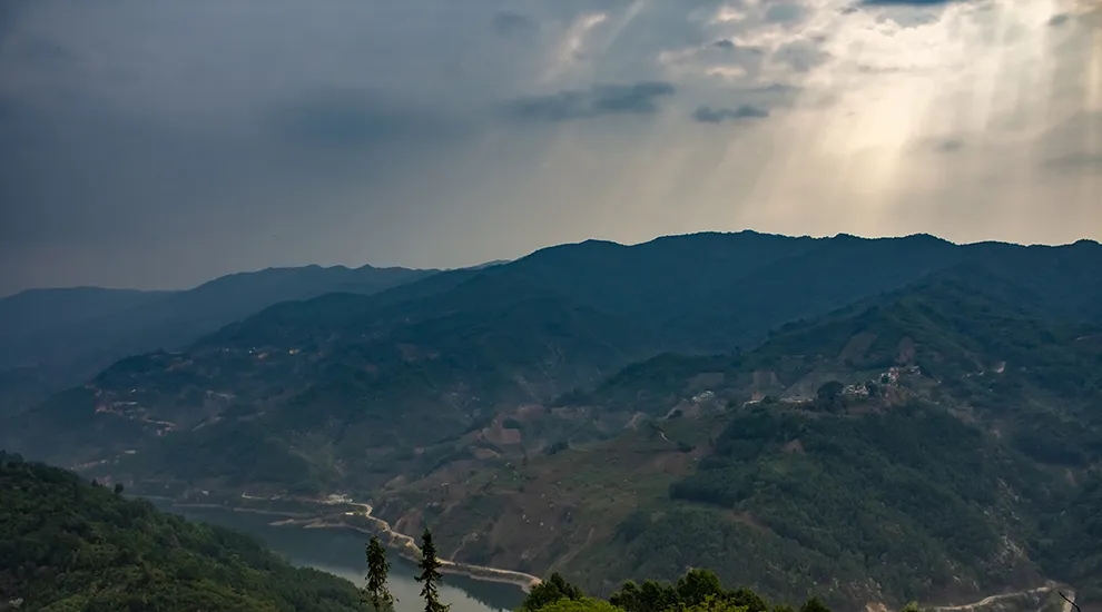 2021年磨烈：風頭正勁的后起之秀，到底有何特點？