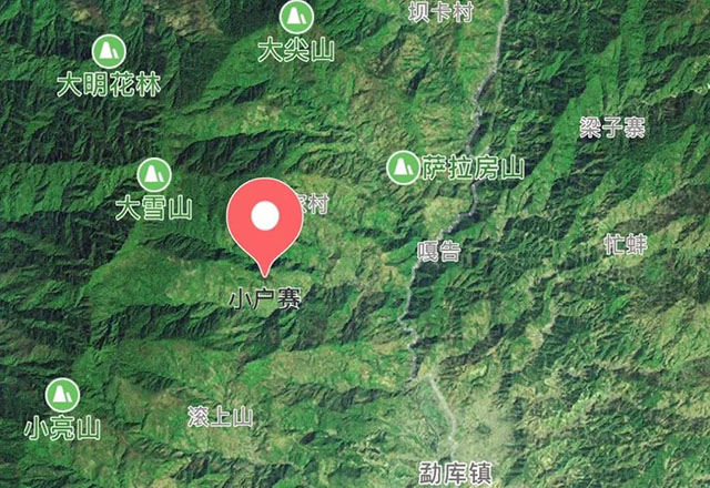 2021年小戶賽古樹秋茶有什么特點？