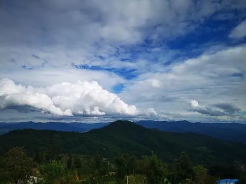 2021年那罕古樹(shù)秋茶口感？