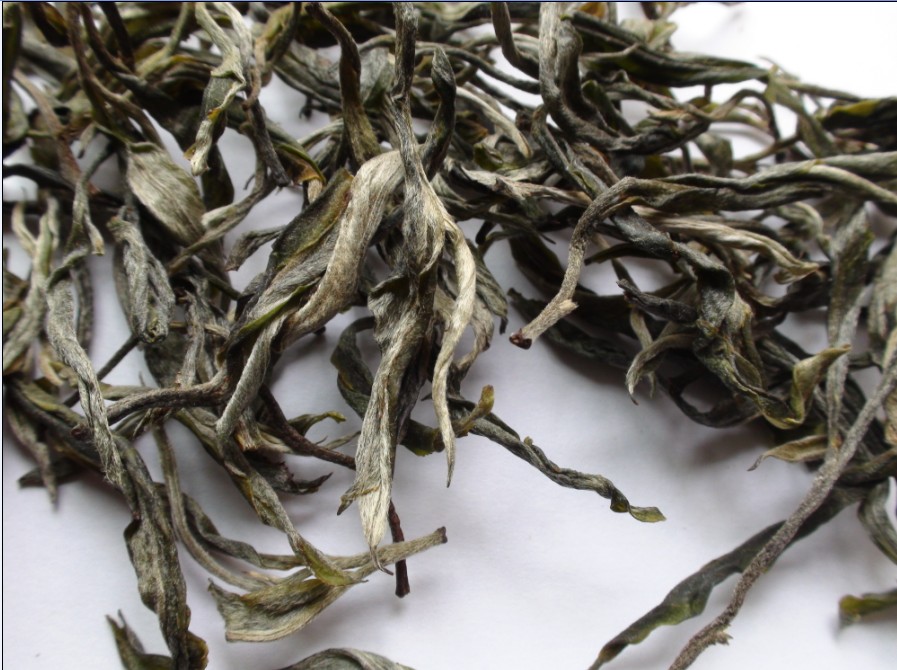 2021年馬鞍山古樹秋茶價格？