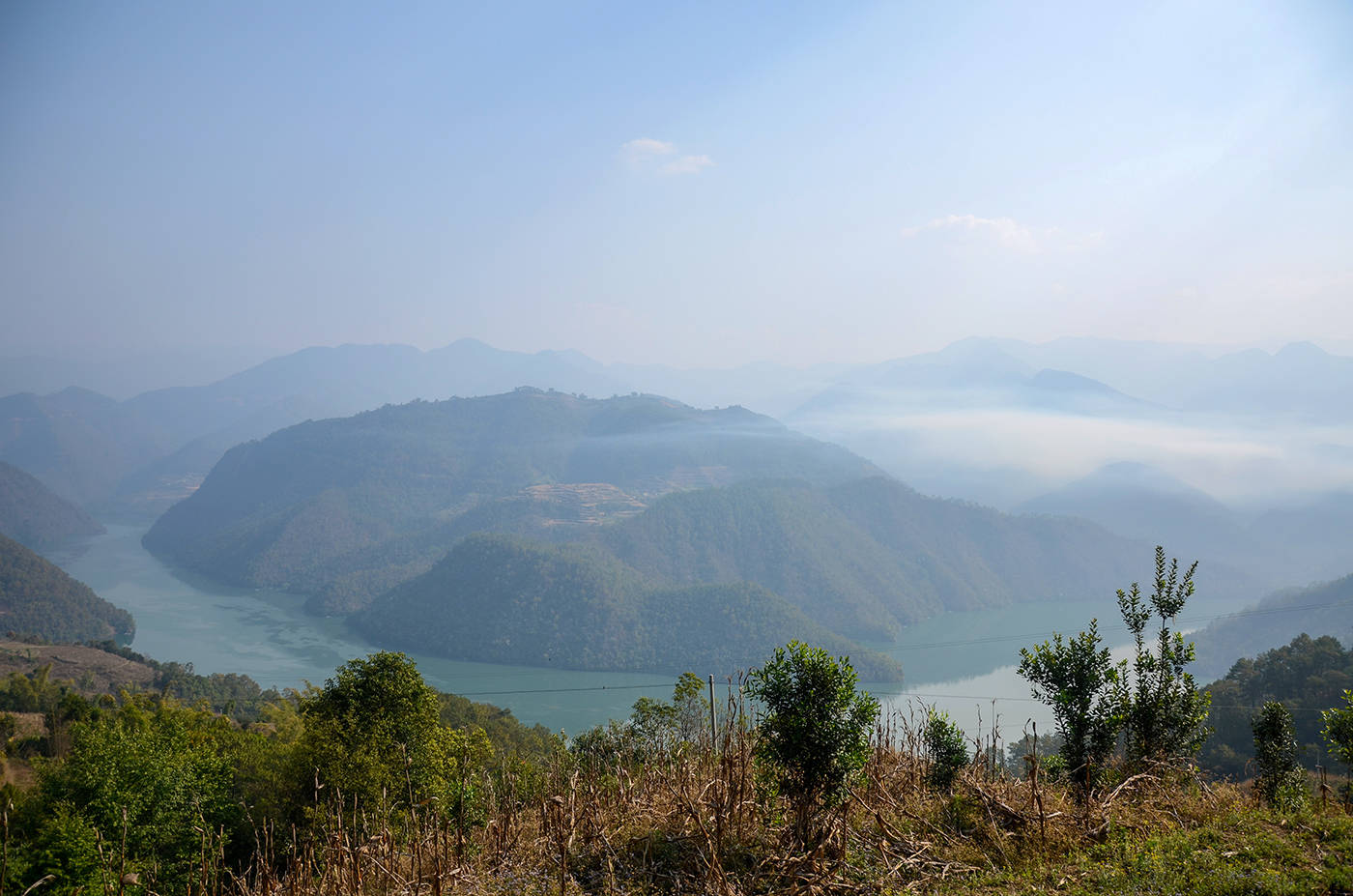 2021年白鶯山古樹秋茶，佛茶有什么魅力？