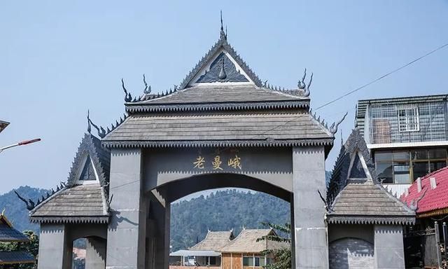 2021年老曼峨古樹(shù)秋茶特點(diǎn)？