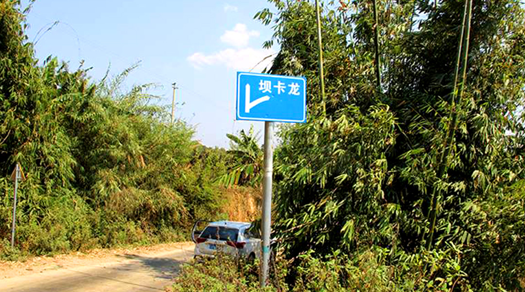 2021班章茶區(qū)壩卡竜古樹(shù)秋茶特點(diǎn)！