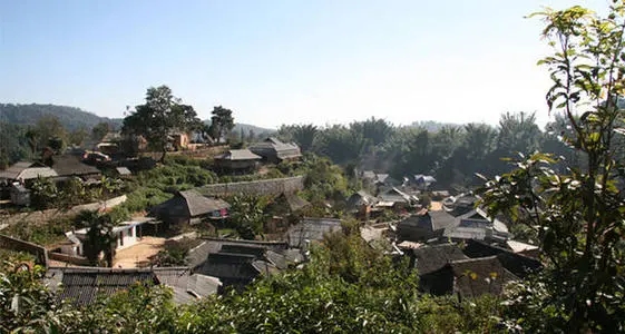 2021年班章茶區(qū)壩卡竜古樹秋茶多少錢一公斤？