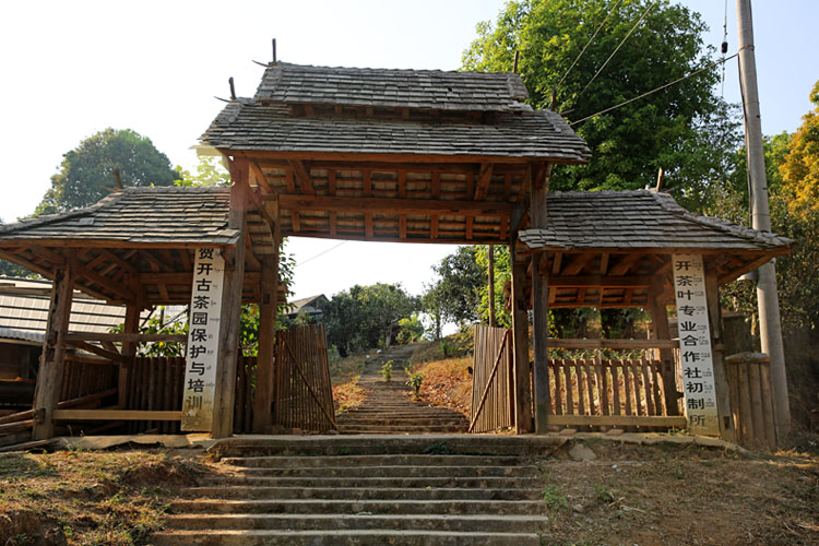 2021年賀開古樹秋茶特點(diǎn)？