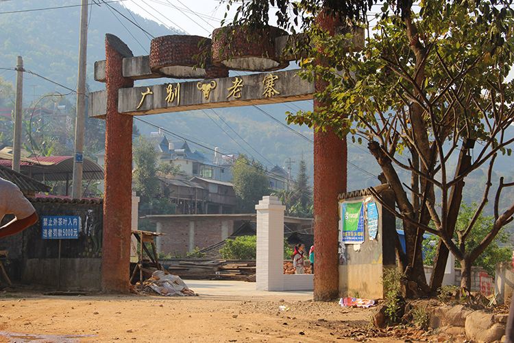 2021年廣別老寨古樹秋茶口感？