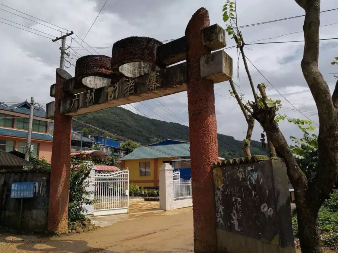 2021年廣別老寨古樹秋茶多少錢一公斤？