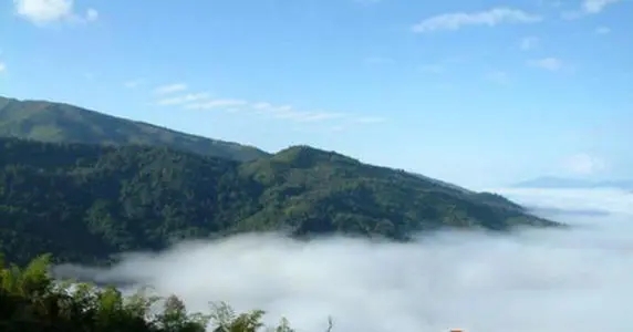 2021年滑竹梁子古樹(shù)品鑒實(shí)錄？