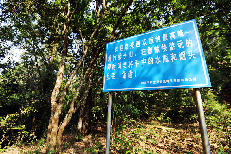 2021年滑竹梁子古樹秋茶價(jià)格？