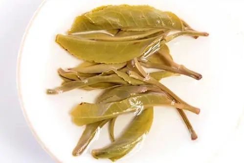 2021年南糯山拔瑪老寨古樹秋茶多少錢一公斤？