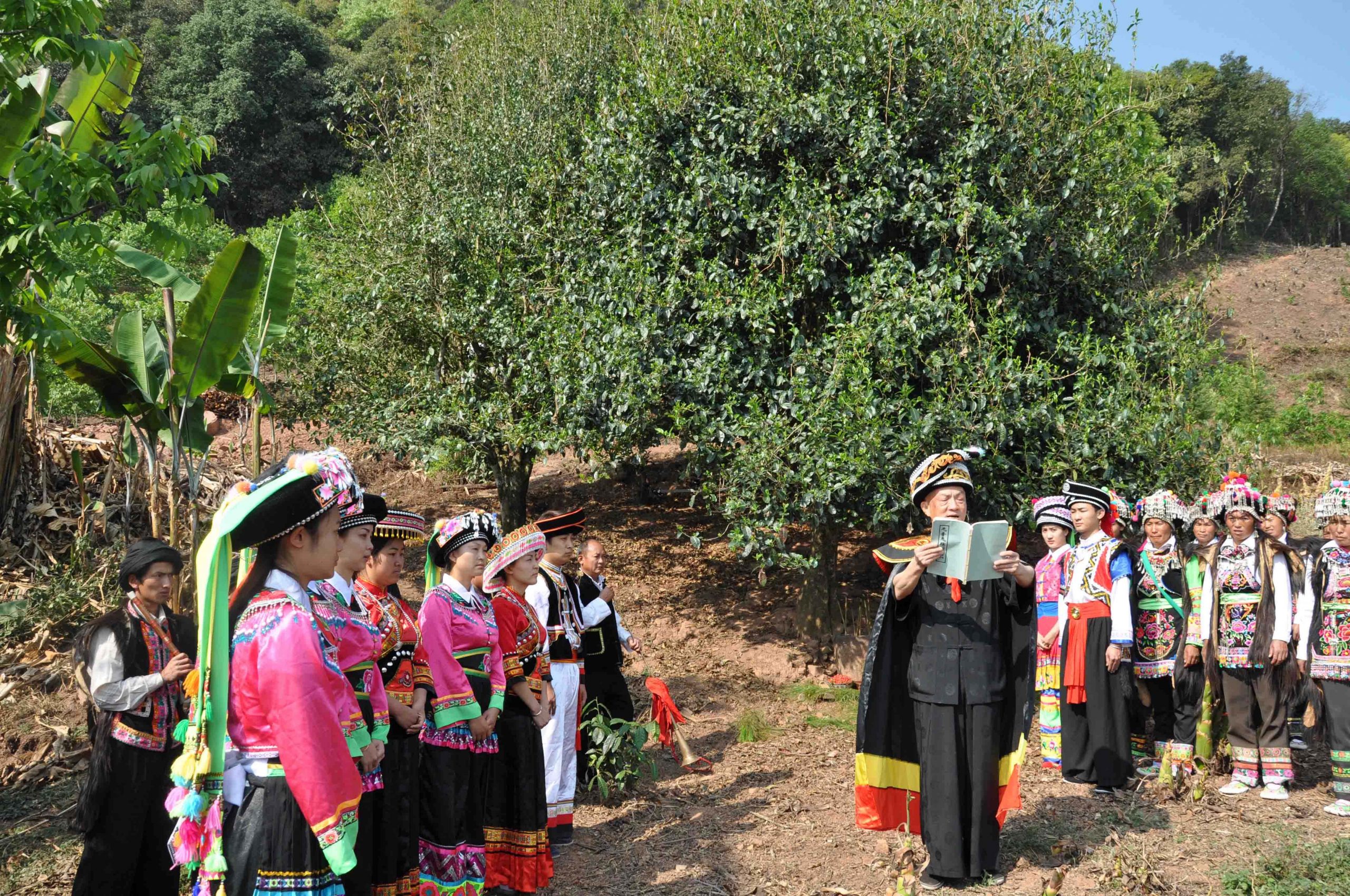 2022年景東御筆古樹春茶多少錢一公斤？