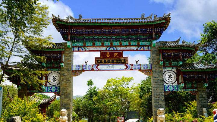 2022年易武正山在哪？易武正山是什么意思？