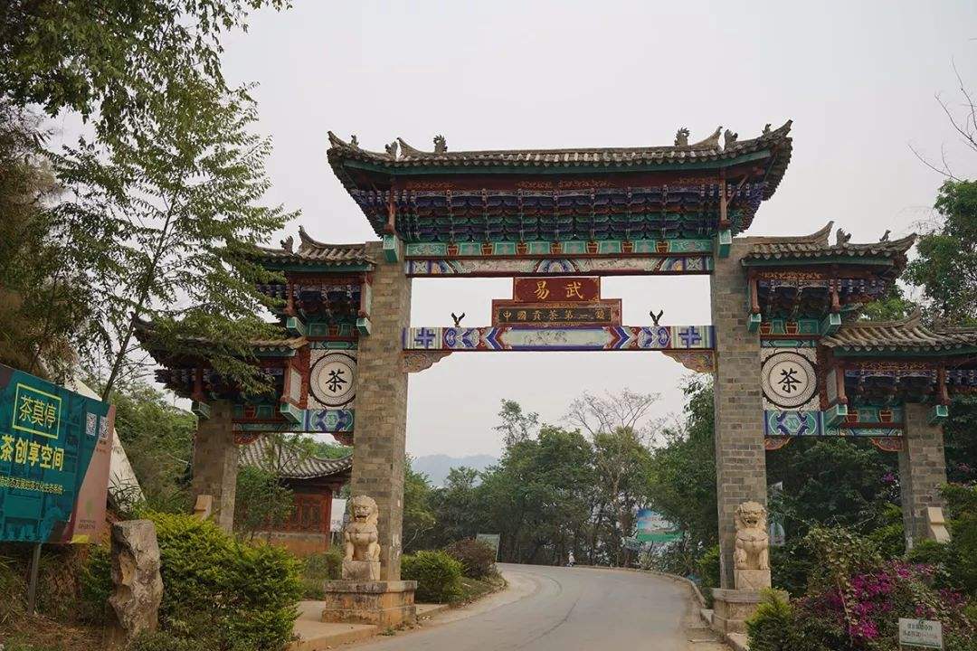 2022年易武正山古樹(shù)春茶特點(diǎn)？