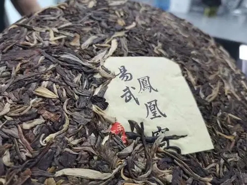 2022年鳳凰窩古樹高桿，鳳凰筑巢的地方