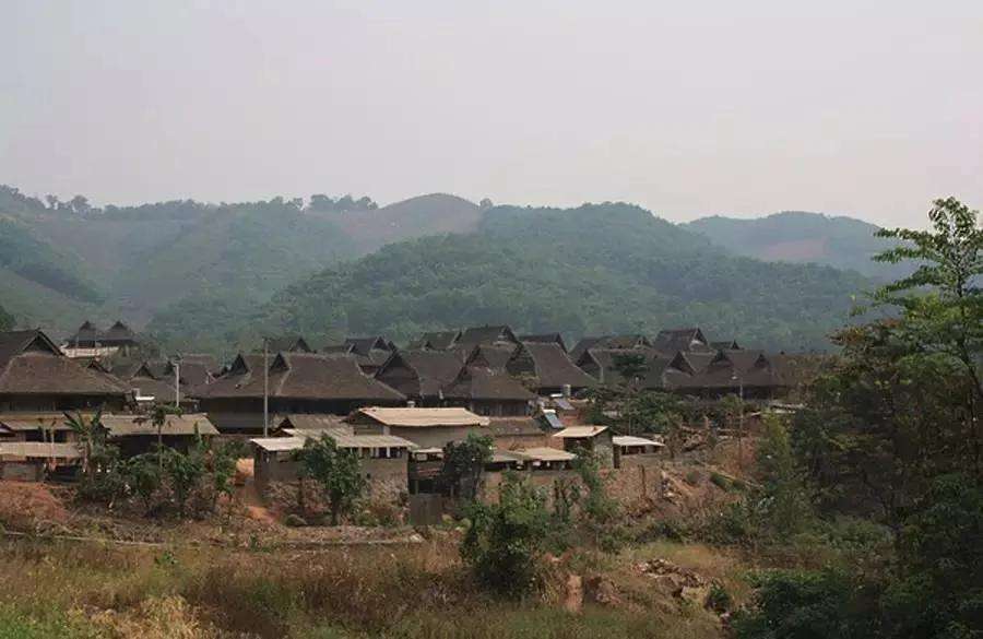 2022年革登古樹春茶特點？