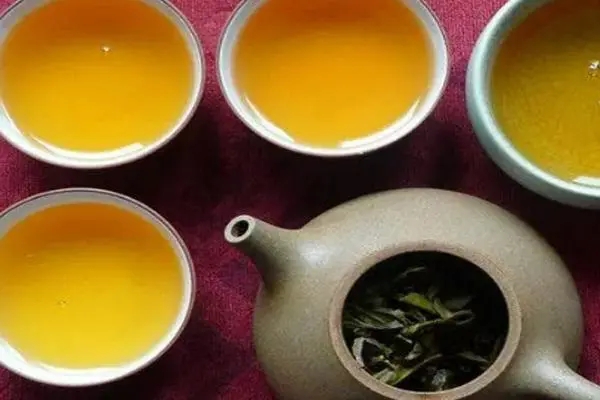 2022年普洱茶怎么泡法才正確？