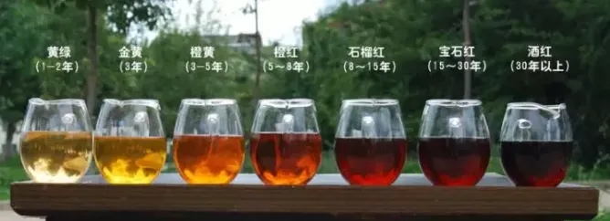 2022年普洱茶的茶湯湯色要怎么描述？