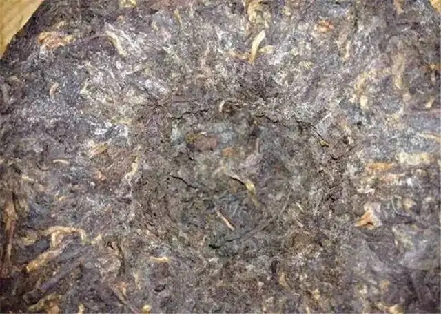 2022年普洱茶受潮發(fā)霉了怎么辦？