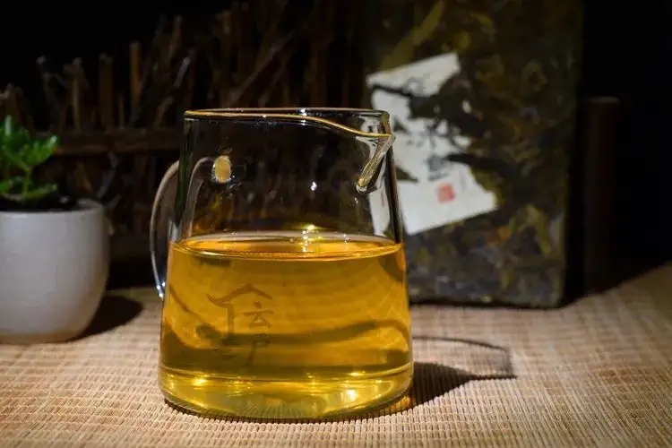 有茶油的普洱茶正常嗎？茶油是如何形成的？