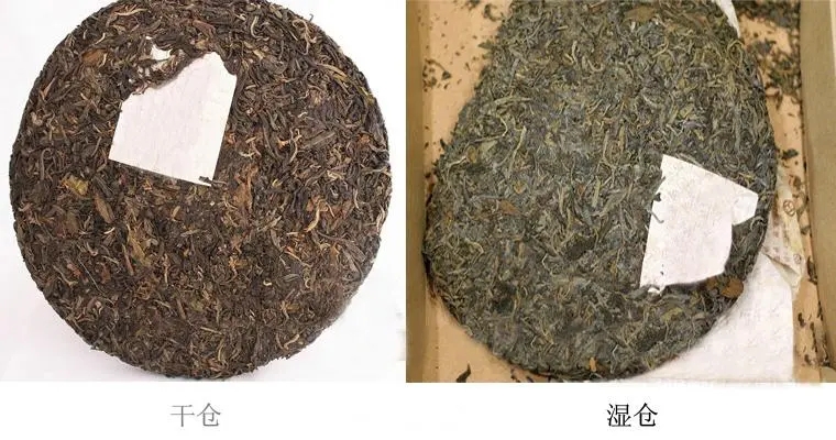 普洱茶怎么分辨干濕倉？