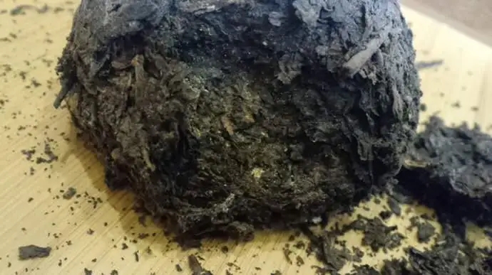 普洱茶蟲子怎么辦？